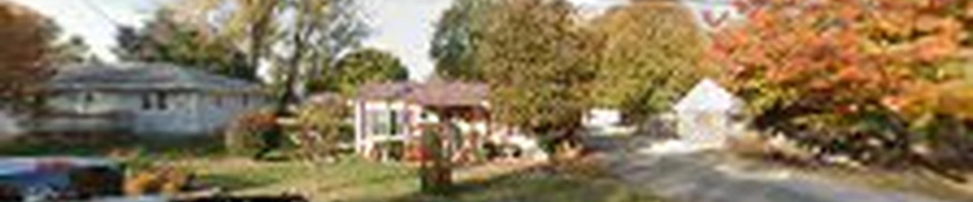 Young's Tree Service