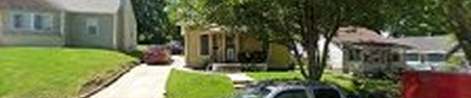 Rigo`s trees service