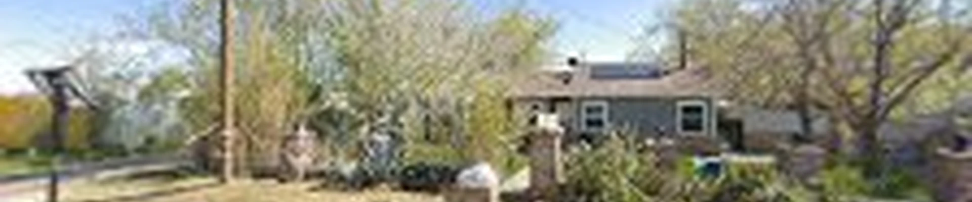 Performance Tree Service