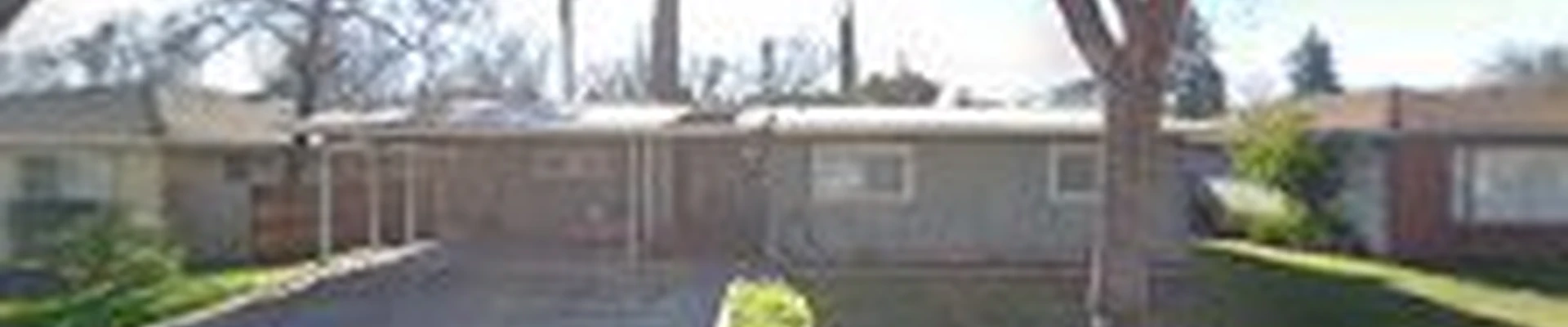 Trees Gone Wild L.L.C