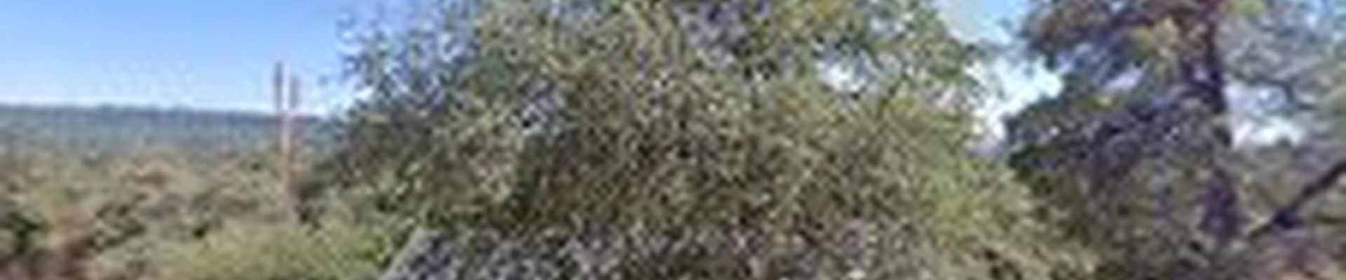 Minners Tree Company