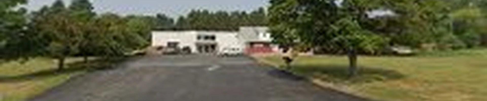 Arborist Pros of Rochester