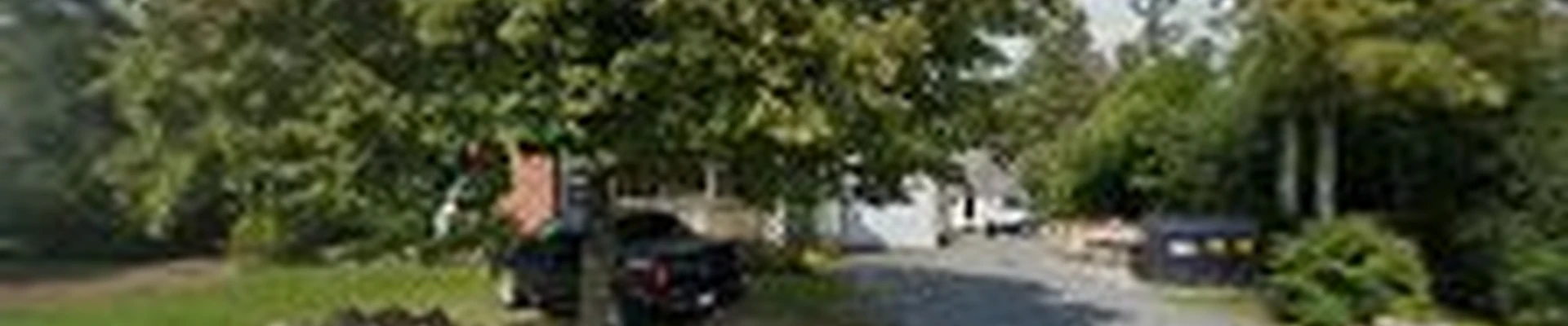 Jason's tree care