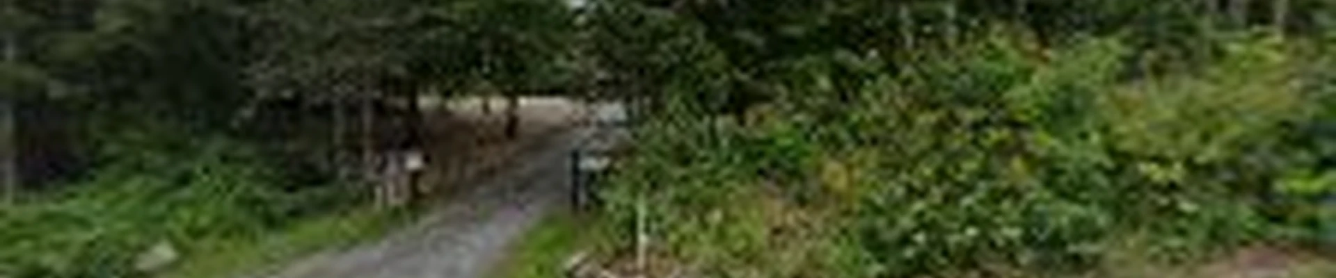 Apple Valley Tree Service