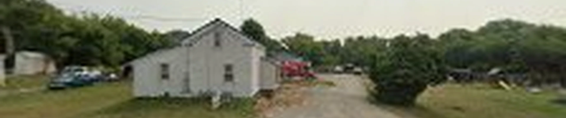 Malovich Environmental tree service