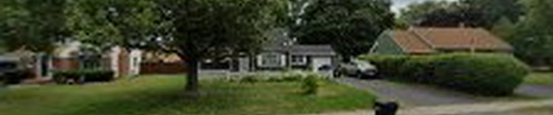 Tom MaGuire Tree Service