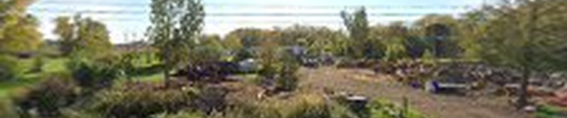 Van Horn's Tree Care