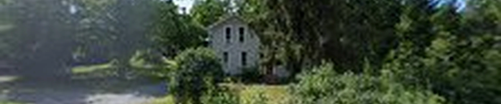 585Tree