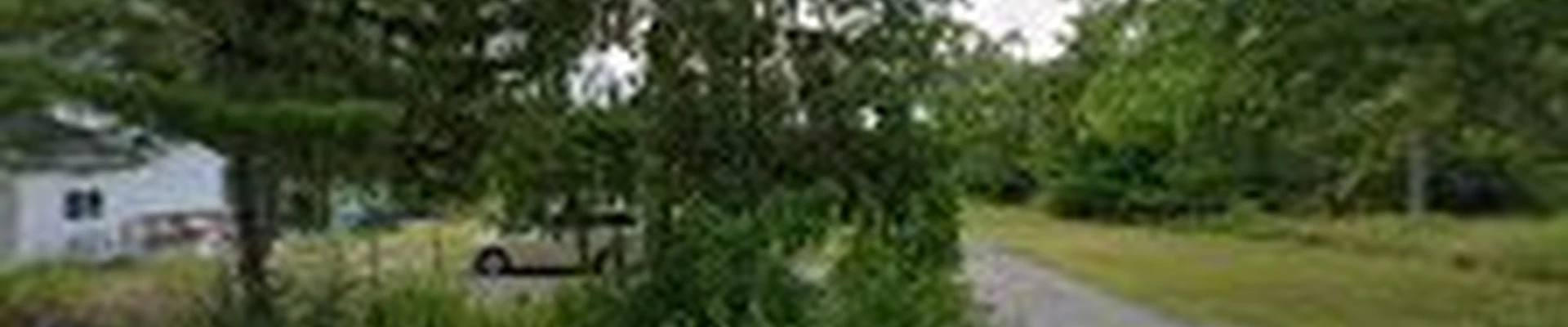 JT'S Tree Service LLC
