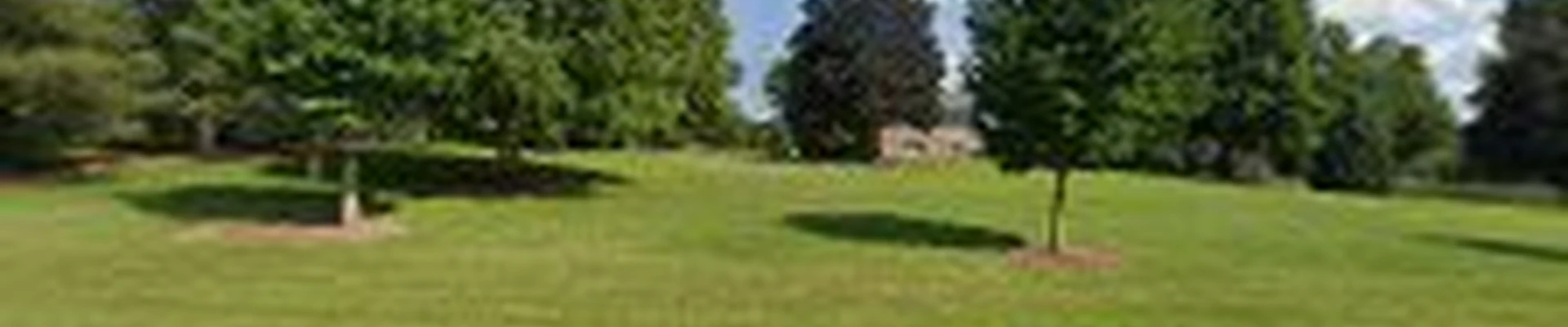 Empire Tree Surgeons