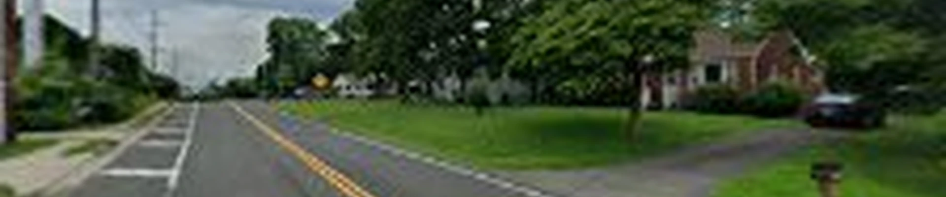 Your Solution's Tree Care