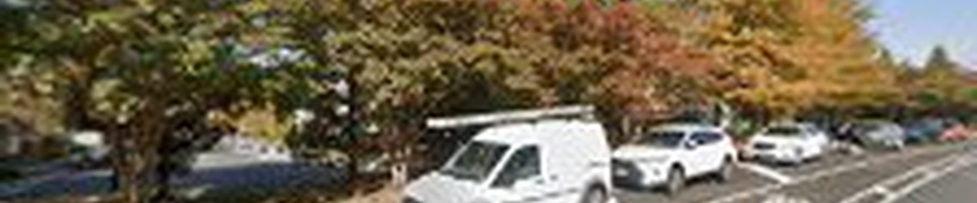 American Arborist Tree Co