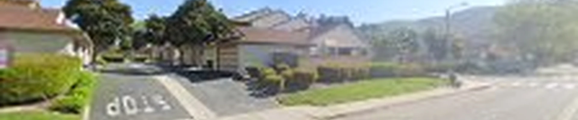 Jorge Salinas Tree Service