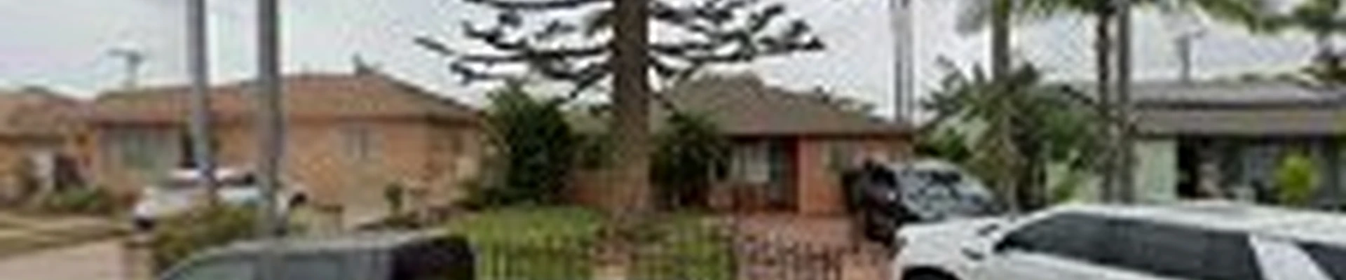 Master Tree Service, Inc.