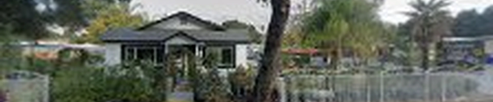 CALL OSCAR TREE SERVICE