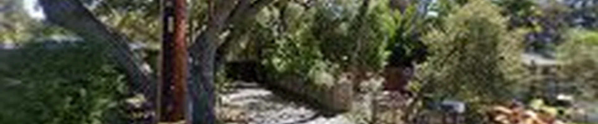 Joe Kenton Tree Service & Certified Arborist