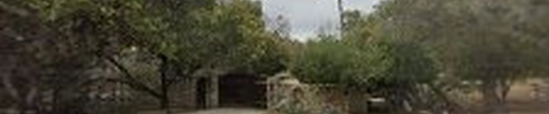 Kenton Brothers Tree Service