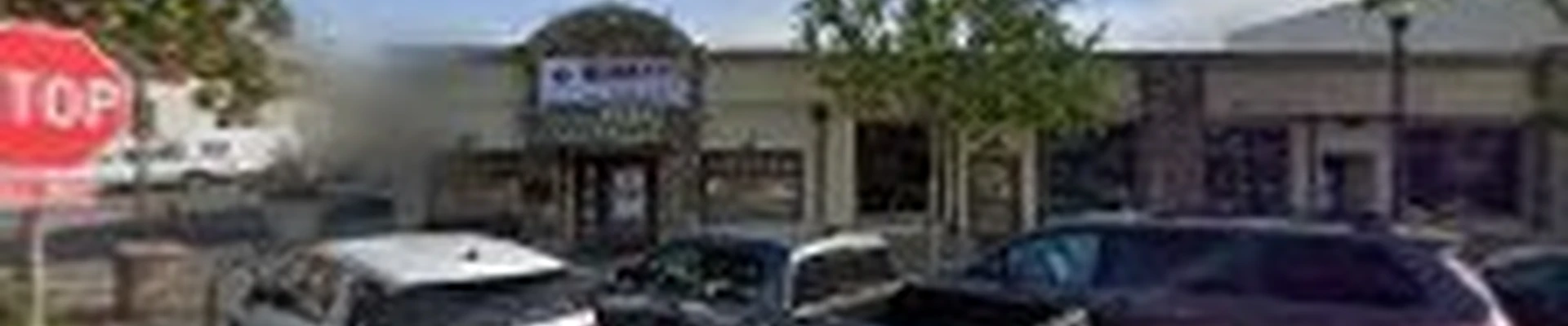 Camarillo Tree Service Pros