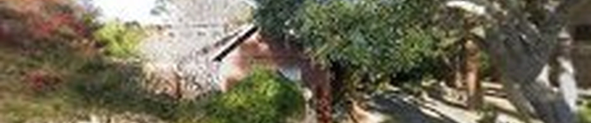 North Coast Tree Services