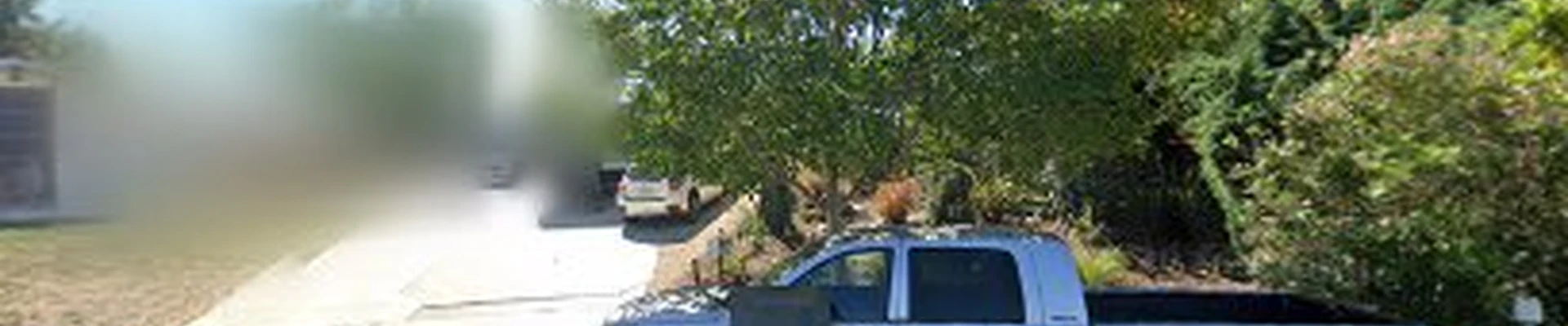 PTS Tree Service