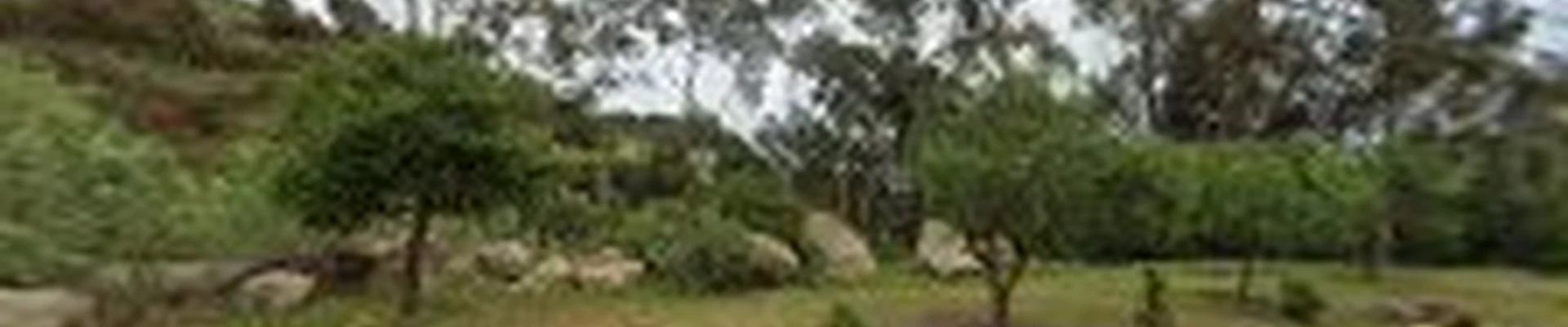 San Roque Tree Care
