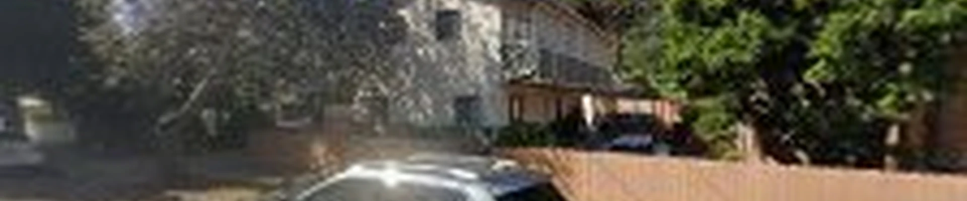 Segura Tree Service - Tree Trimming in Santa Barbara