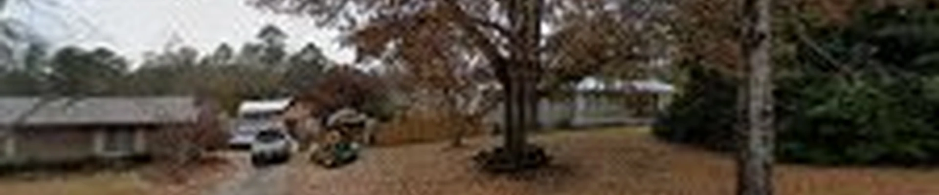 On Time Stumps and Outdoors - Columbus/Phenix City