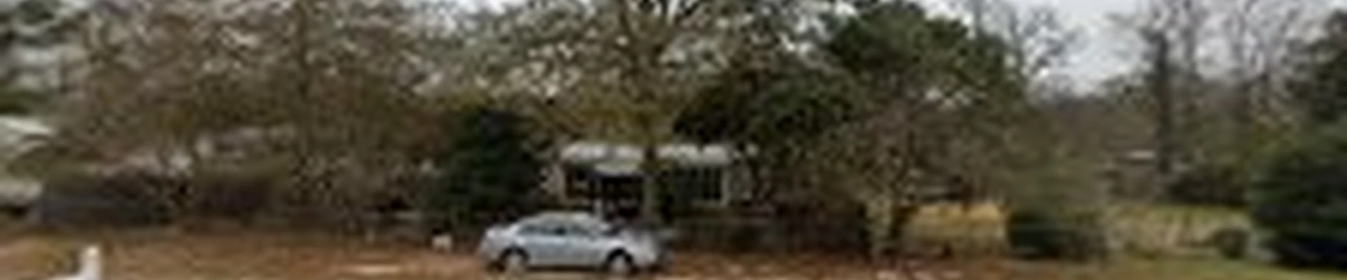 Woodland Tree Service