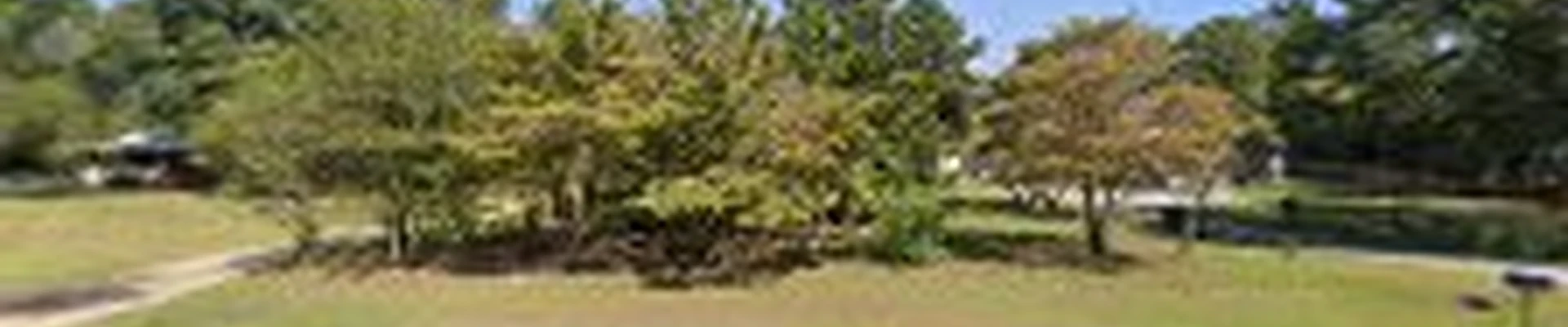 Broken Branch Tree Service