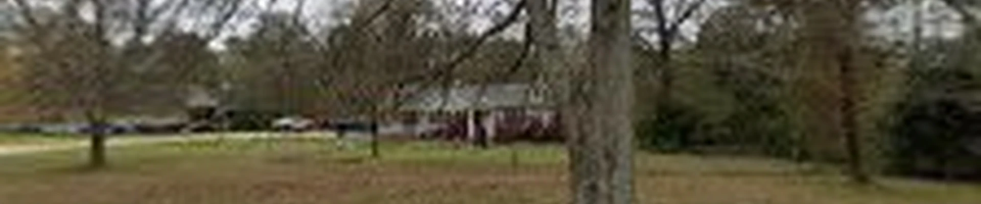 Butler's Tree Service