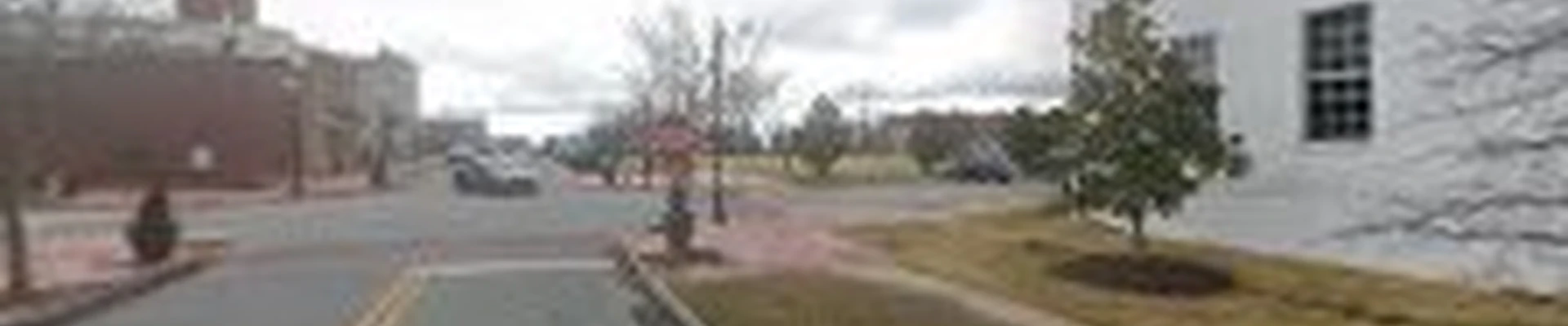 SSK Tree Service