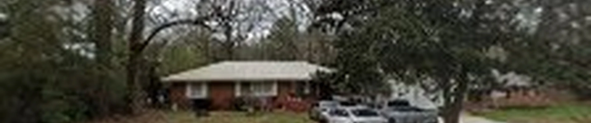 Hermanos Tree service LLC