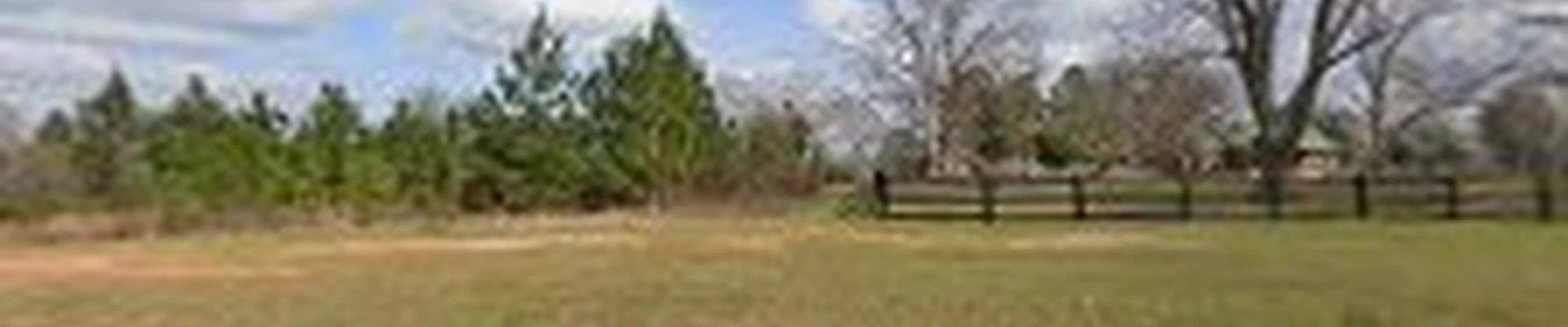 Harper's Tree and Stump Removal