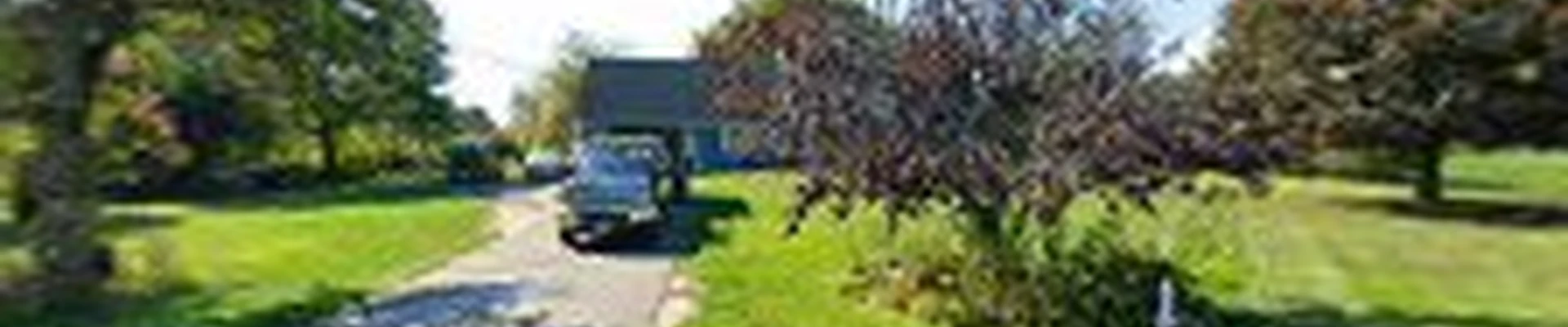 AMC Tree Service