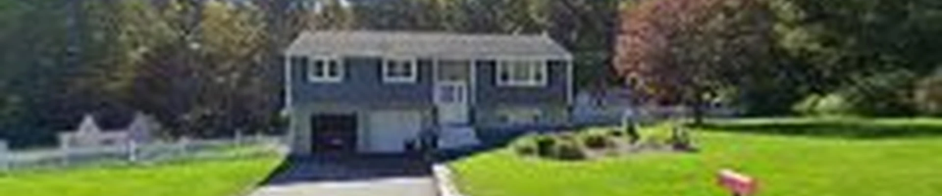 Dave's Tree Service LLC