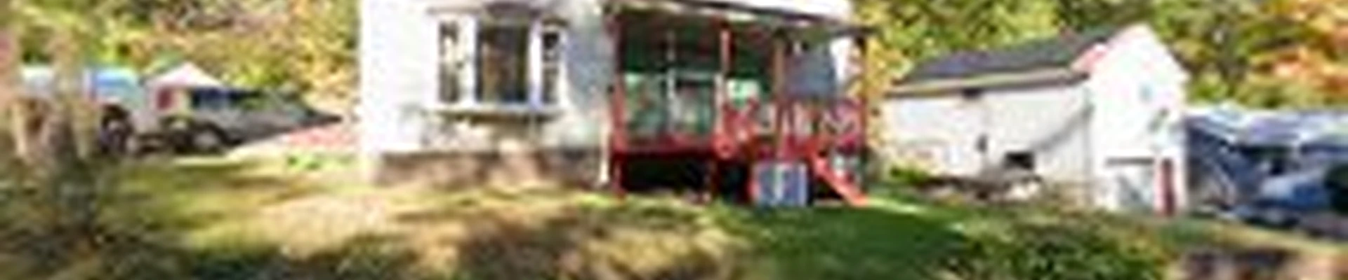 Buds Tree Removal