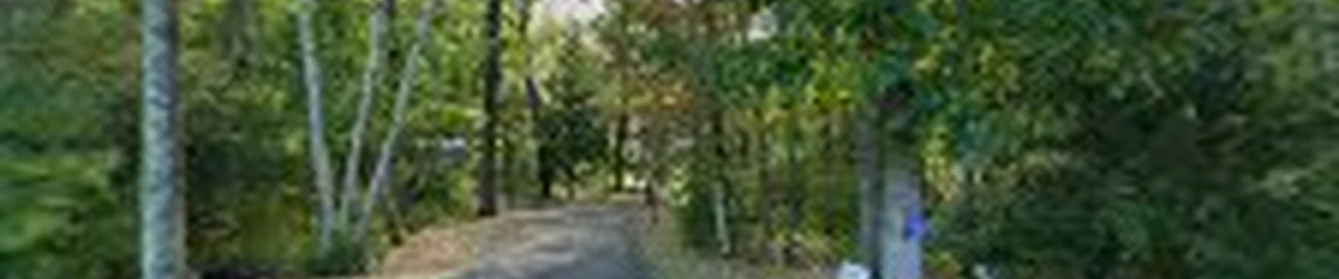 Fairlead Tree Service, LLC
