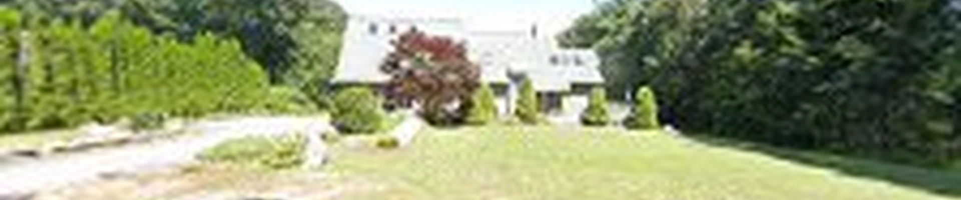 Pine Point Tree Service