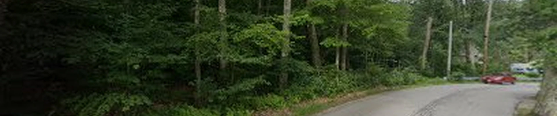 Full Circle Tree Care
