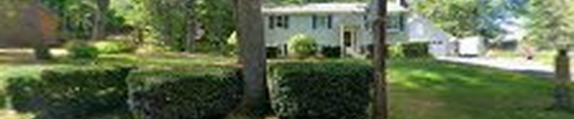 T Bennett Tree Service