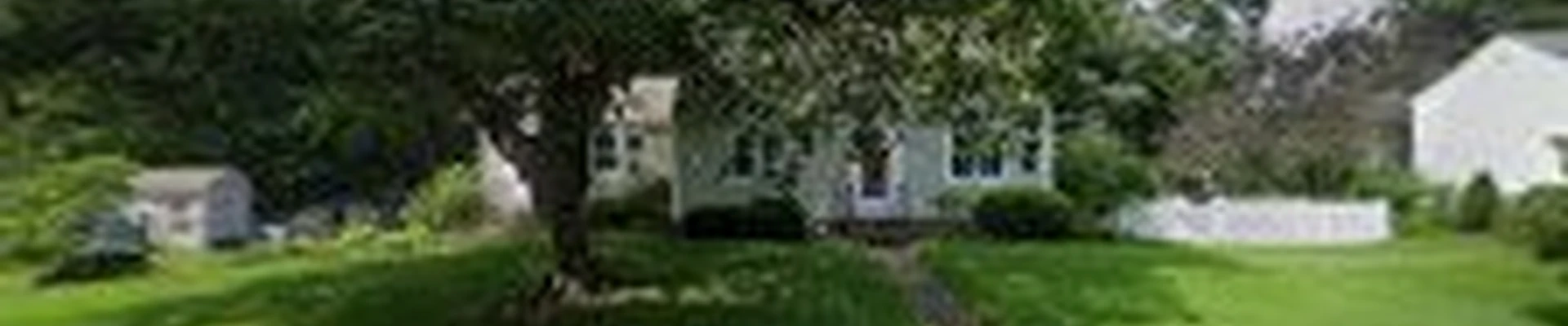 A Cut Above Tree and Shrub Care, Inc.