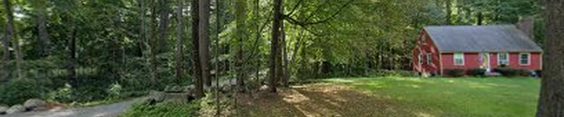 Joe Regan Tree Work Inc.
