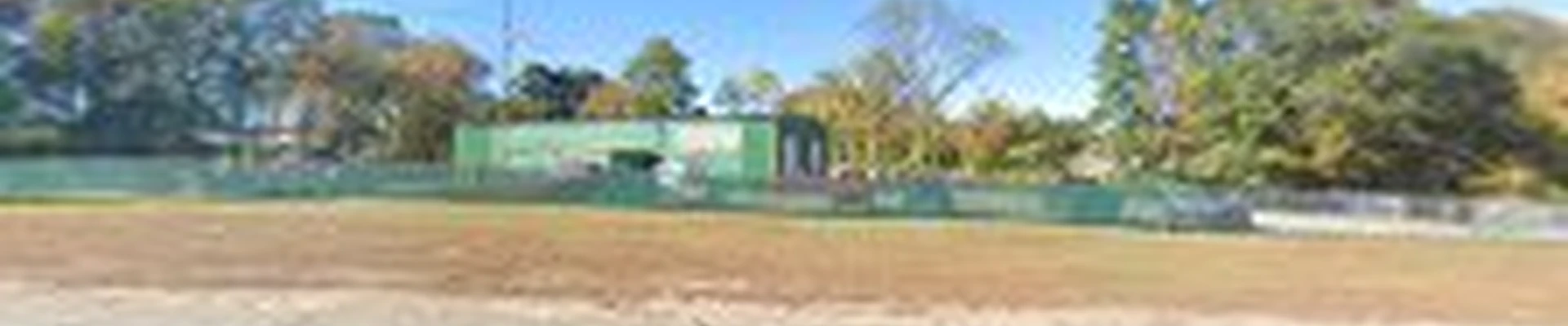 ABOVE & BEYOND - Tree Service, LLC