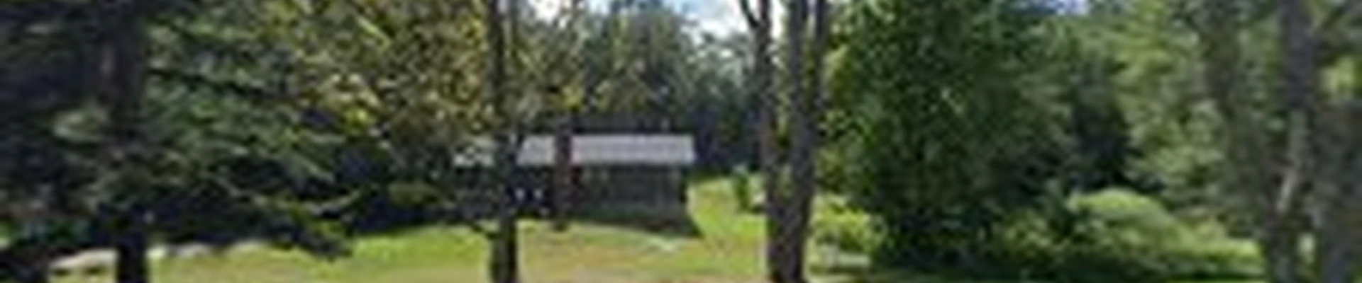 West Branch Tree Service