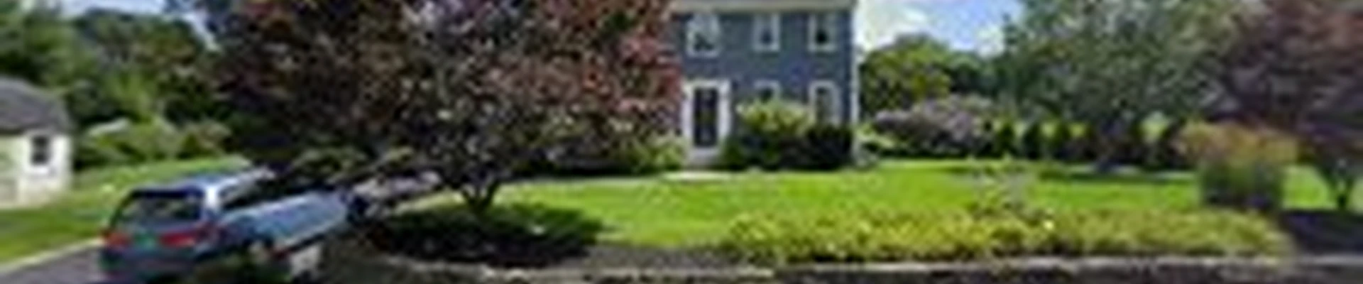 S1 Tree Services