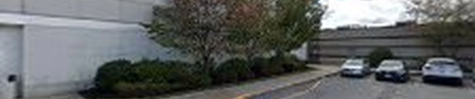 Greater Leominster Tree Service