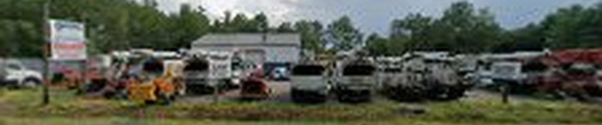 Jacoby Tree Services Inc | Tree Removal & Trimming