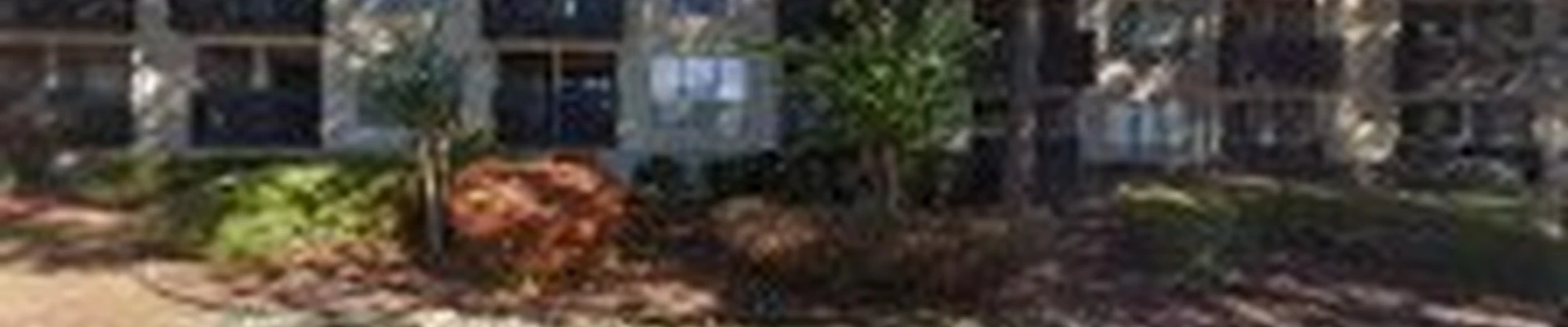 Giraffe Tree Services