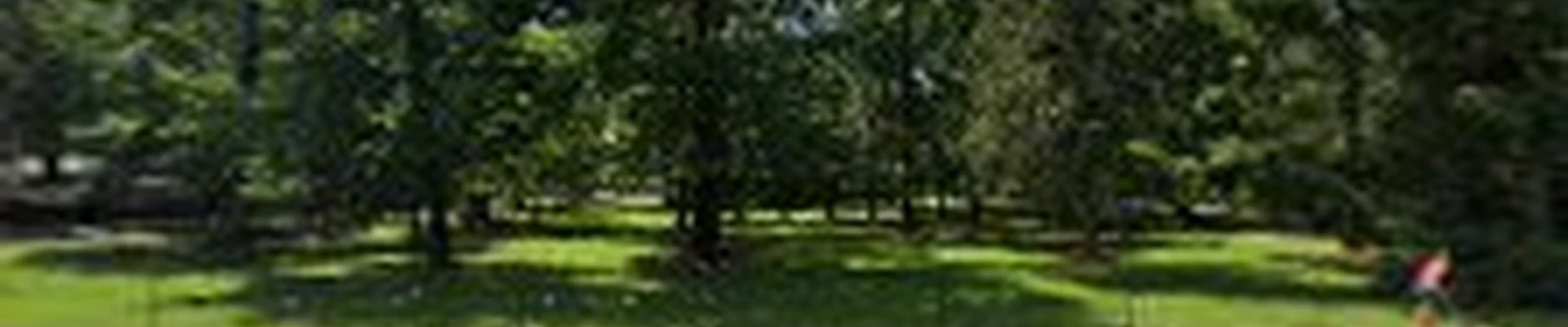Arkansas Tree and Stump, Inc.