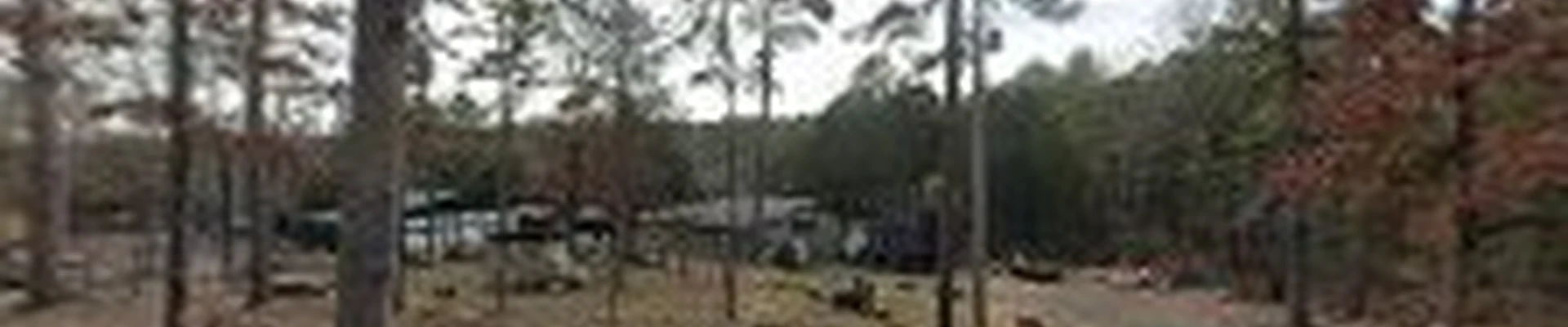 Greers Ferry Total Tree Service